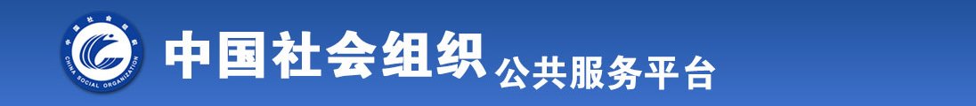 www.骚穴xx全国社会组织信息查询